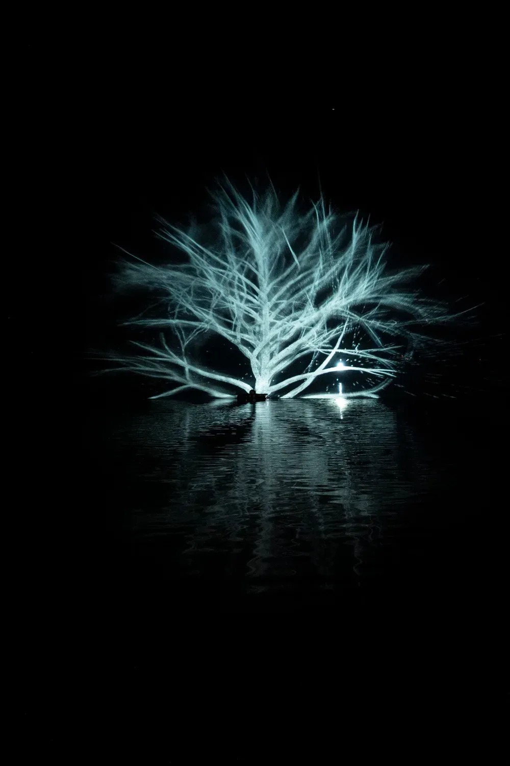 Un arbre blanc qui pousse hors de l’eau